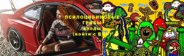 стафф Абинск