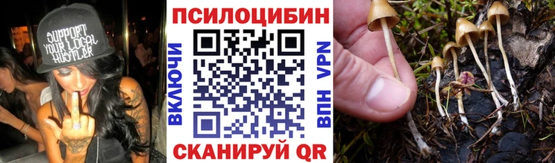 ОМГ ОМГ   купить  сайты  Сорск  Псилоцибиновые грибы мухоморы 